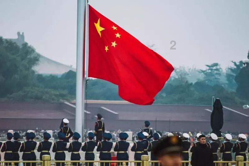 拯救枯树